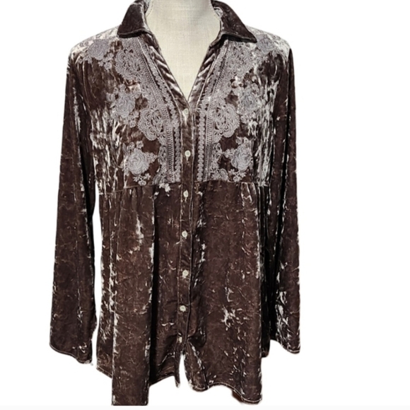 APRIL SKY Velvet Babydoll Top Womens Small Brown Embroidered Whimsigoth - Picture 2 of 9